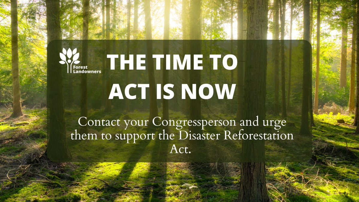 🔊 The time to act is now! Contact your senators and urge them to support the Disaster Reforestation Act. Together, we can protect our forests and rural economies.
