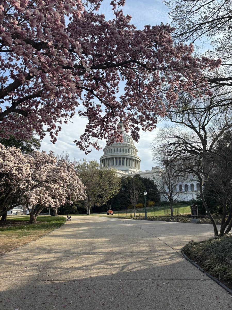 AvonDCTrip's tweet photo. First stop on day 3: The Capitol! https://t.co/cs8EQPaEtJ