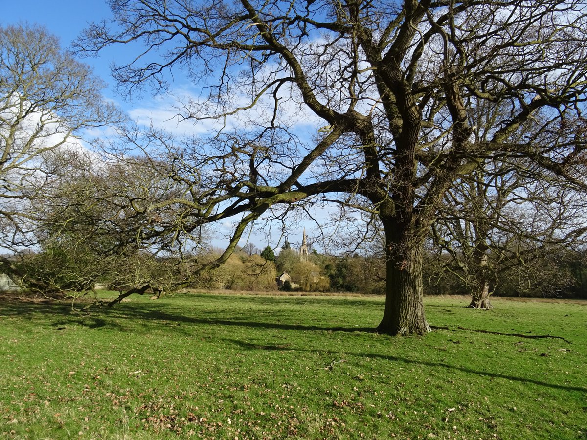 Natural England West Anglia Team (@ne_westanglia) on Twitter photo @NNorthantsCouncil just published its big plan for nature – so far the 2nd English council to do so. But what are Local Nature Recovery Strategies? And how do they contribute to joined up nature recovery. Read our blog to find out. @WTBCN <a href="/EnvAgencyMids/">Env Agency Midlands</a> naturalengland.blog.gov.uk/2025/03/20/a-n… @NNorthantsCouncil just published its big plan for nature – so far the 2nd English council to do so. But what are Local Nature Recovery Strategies? And how do they contribute to joined up nature recovery. Read our blog to find out. @WTBCN <a href="/EnvAgencyMids/">Env Agency Midlands</a> naturalengland.blog.gov.uk/2025/03/20/a-n…