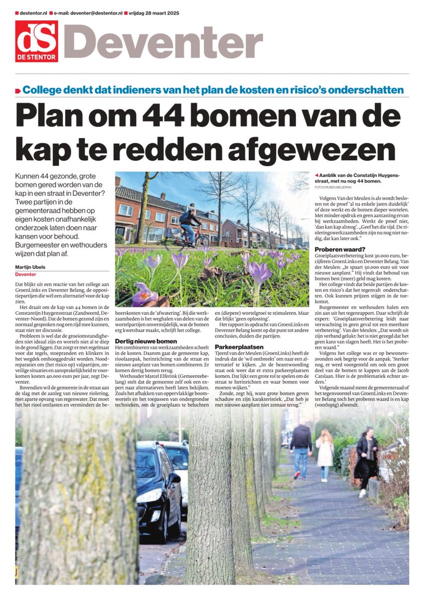 Volwassen gezonde bomen zijn van onschatbare waarde. Jammer dat college #deventer vooral financieel gedreven niet openstaat voor de tussenoplossing van <a href="/GLDeventer/">GroenLinks Deventer</a> <a href="/deventerbelang/">deventerbelang</a> <a href="/Bertaverlo/">Bert Kleine Schaars</a> <a href="/ds_Salland/">deStentor_Salland</a> #klimaatadaptatie #hittestress #biodiversiteit
