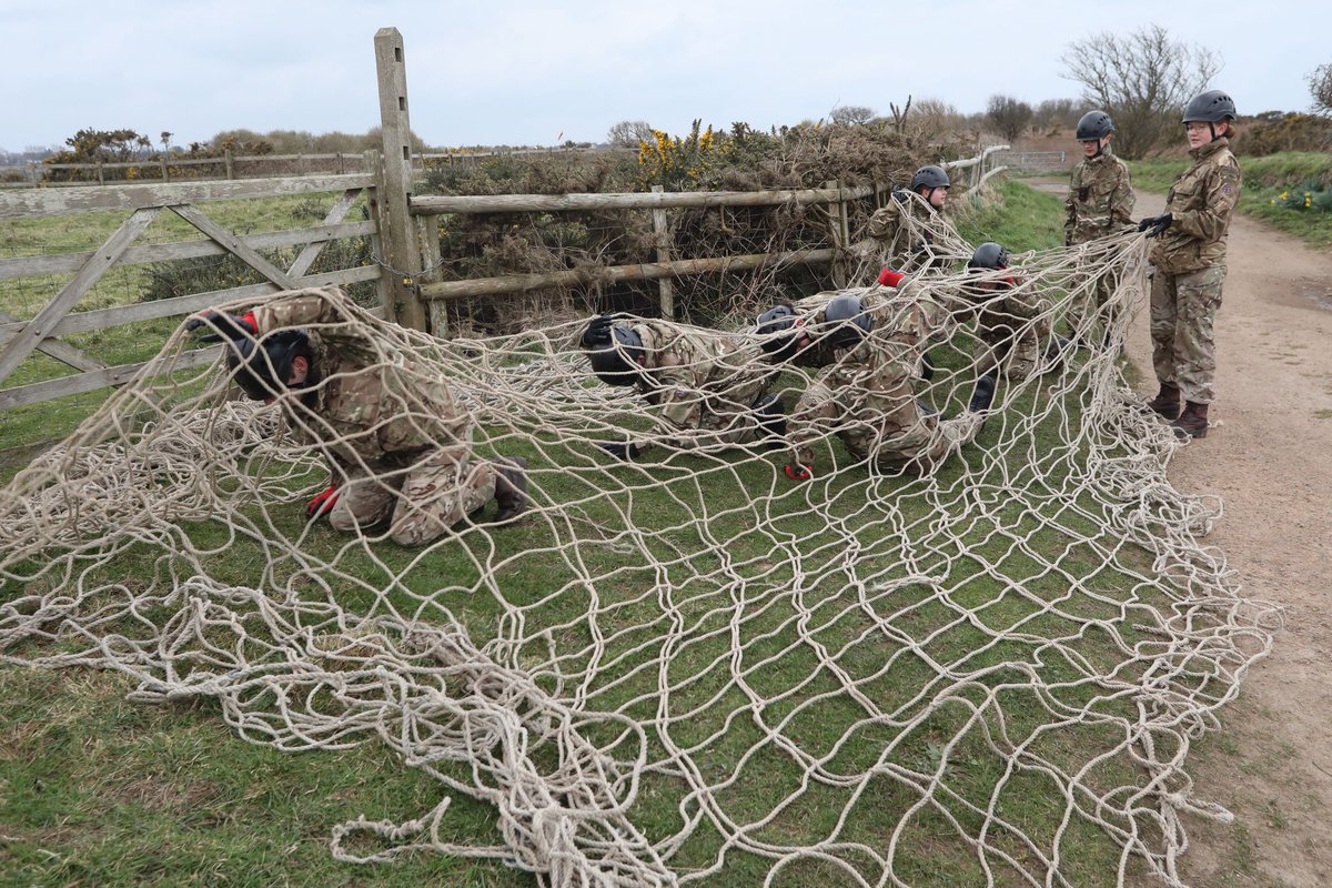 VictoriaCollege tweet media