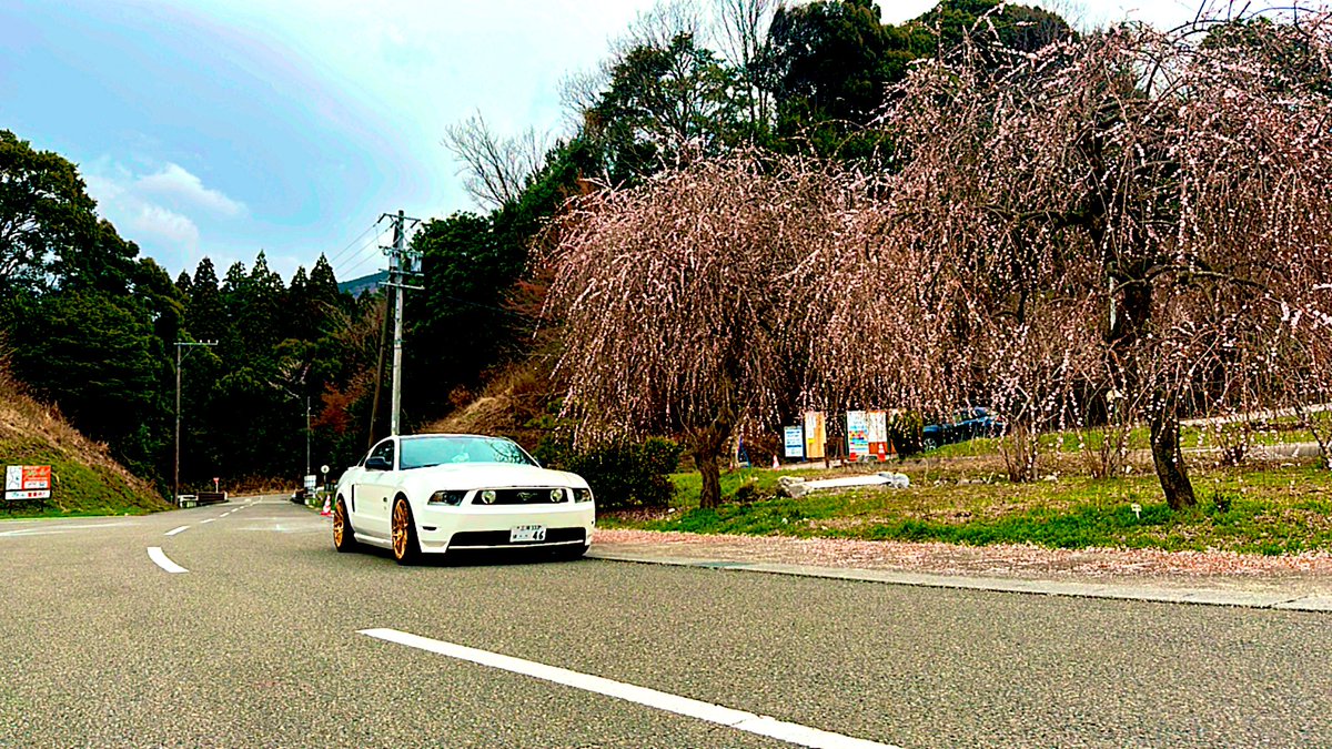 syoichi46's tweet photo. 久しぶりの三重県ドライブ
シーズン終わって中には入れず展望台からでしたがまだ咲いていたので良かったかな
（いなべ農業公園） https://t.co/A9akzf2VrM