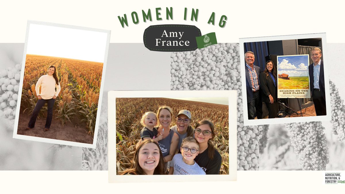 Amy France of Scott City, Kansas, didn’t always envision a career in agriculture.  
 
Today, she is Chair of the National Sorghum Producers and is the first woman to hold a leadership position on its board of directors. 
 
Amy and her husband, Clint, are third-generation farmers
