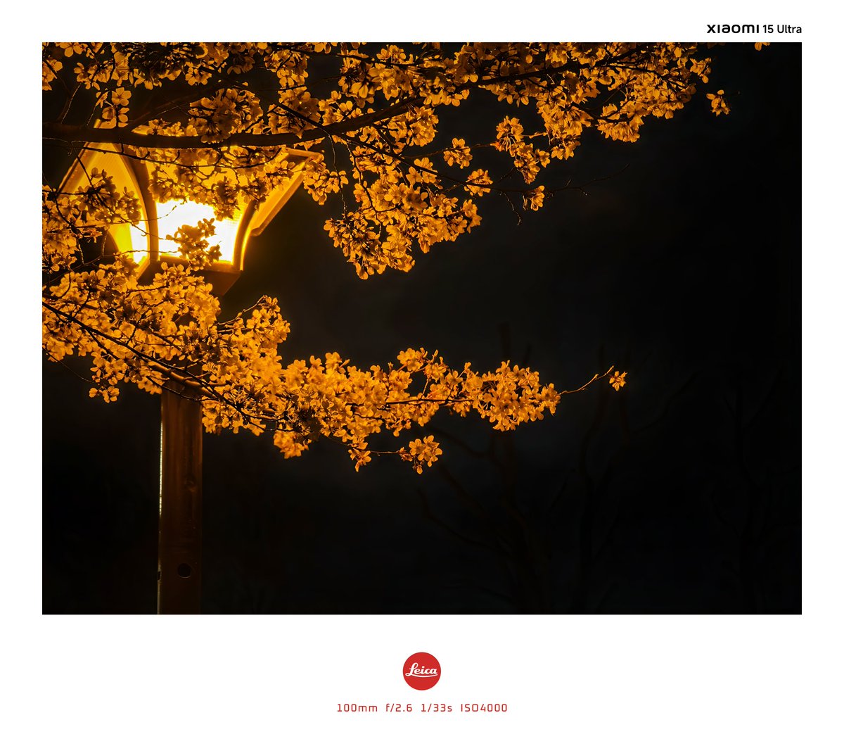 Zhang Bing (@nju_zhangbing) on Twitter photo 