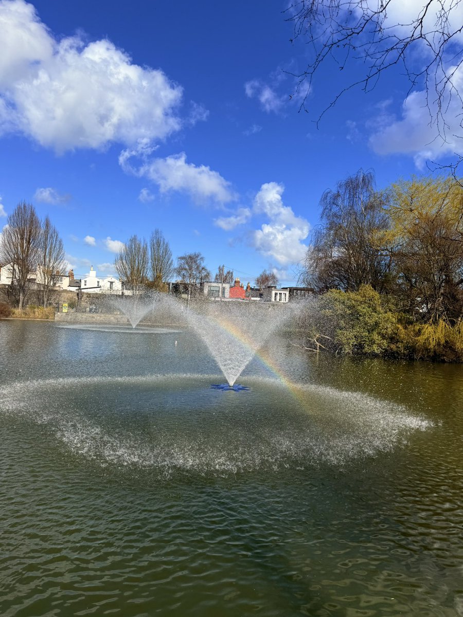 Noel Hiney 🛫 🎼 📝 🏃 tweet media