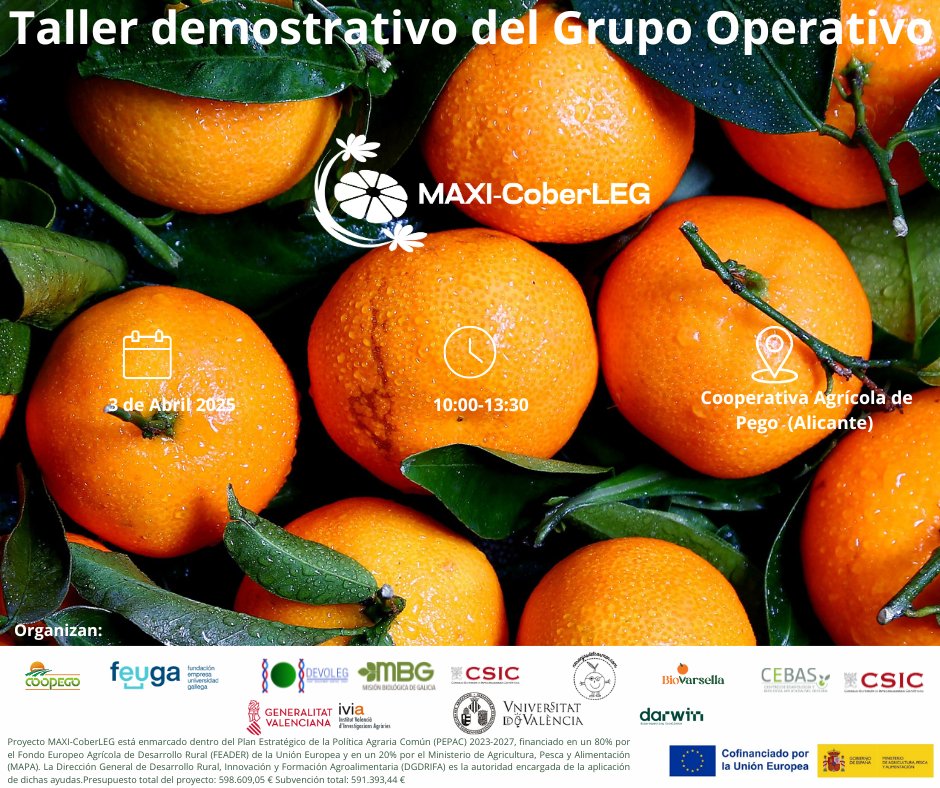 🚀 ¡Seguimos trabajando en Grupo Operativo MAXI-CoberLEG! 

Hoy os presentamos nuestro taller demostrativo, que se celebrará el próximo jueves 3 de abril. 🗓️✨

🔹 No os lo perdáis y aseguraos de reservar vuestra plaza.

📌 Inscripción aquí: forms.office.com/Pages/Response…
