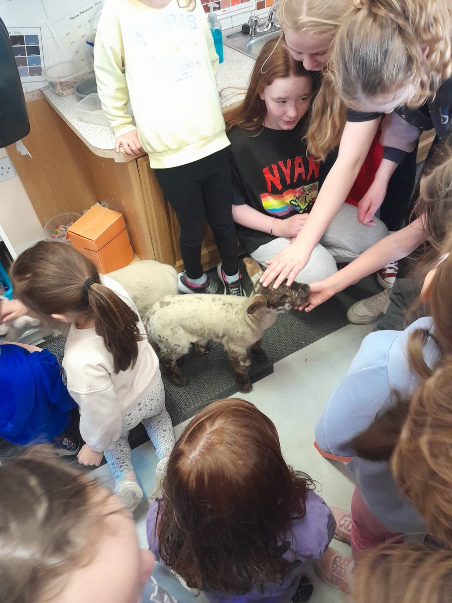 MsOConnorsClass's tweet photo. We had exciting visitors this afternoon. Big thank you to Eamon for bringing in Whitey and Spotty. https://t.co/BPW4eZM3gl