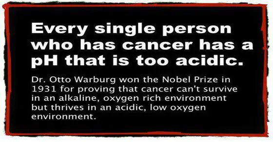 2. Oxygen kills almost every disease.

Notice how cancer patients are rushed into treatment without addressing their body's environment?

Cancer cells cannot survive in oxygen-rich environments.

Nobel Prize winner Otto Warburg proved this decades ago.