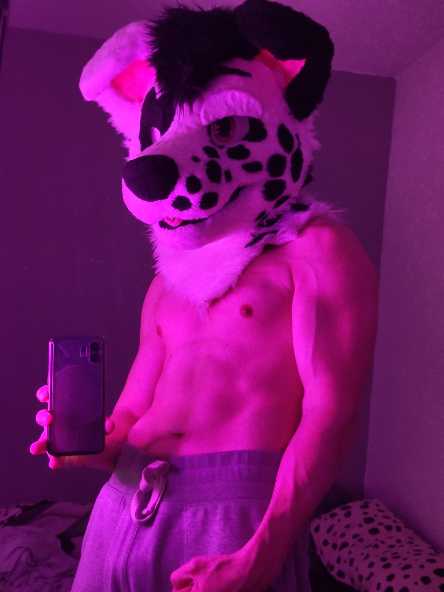 KELITROS THE DALMATIAN 🔜 UR WALLS tweet media