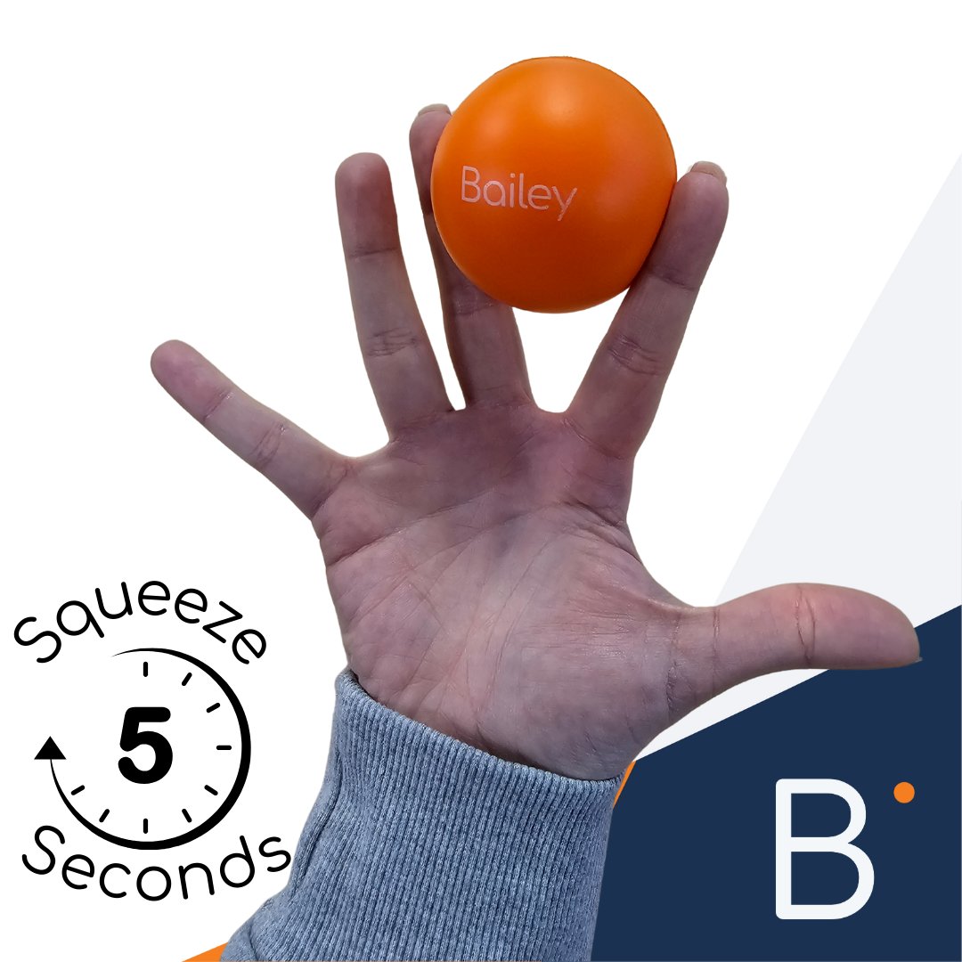 Bailey Instruments tweet media