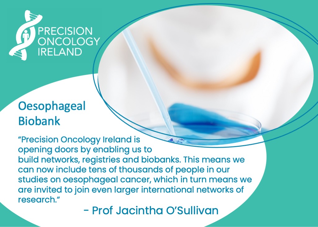 UCD Research (@ucd_research) on Twitter photo Around 500 people/yr are diagnosed in Ireland with oesophageal cancer. What if we could identify people at risk of this hard-to-treat condition & intervene early?
Oesophageal Biobank is working to make it happen!
precisiononcology.ie/research/impac… <a href="/PrecisionOncIre/">Precision Oncology Ireland</a>
#Impact #ResearchisCare Around 500 people/yr are diagnosed in Ireland with oesophageal cancer. What if we could identify people at risk of this hard-to-treat condition & intervene early?
Oesophageal Biobank is working to make it happen!
precisiononcology.ie/research/impac… <a href="/PrecisionOncIre/">Precision Oncology Ireland</a>
#Impact #ResearchisCare
