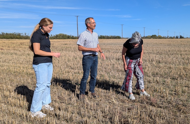 Canadian vs. American whisky? Not at @estatewhisky. 🇨🇦🇺🇸 Distillers like @blackfoxspirits in Saskatoon are proving collaboration — and triticale — can craft world-class, estate-grown spirits. hubs.ly/Q03dzljQ0