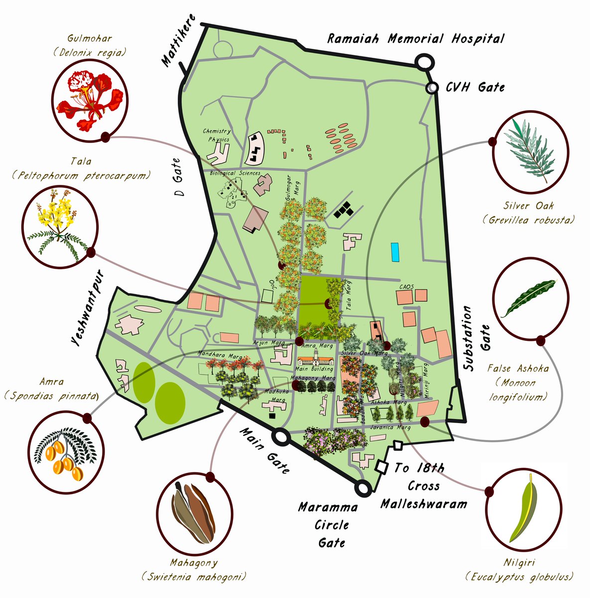 Ravi Jambhekar | Ecologist | Illustrator tweet media