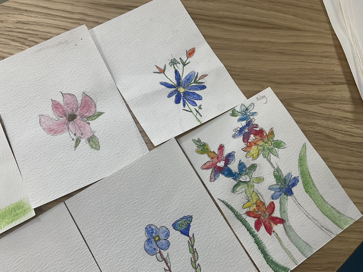 PDA_Y5's tweet image. Some of our beautiful observational drawing and watercolour paintings! ✍🏼🌷 #pdaart