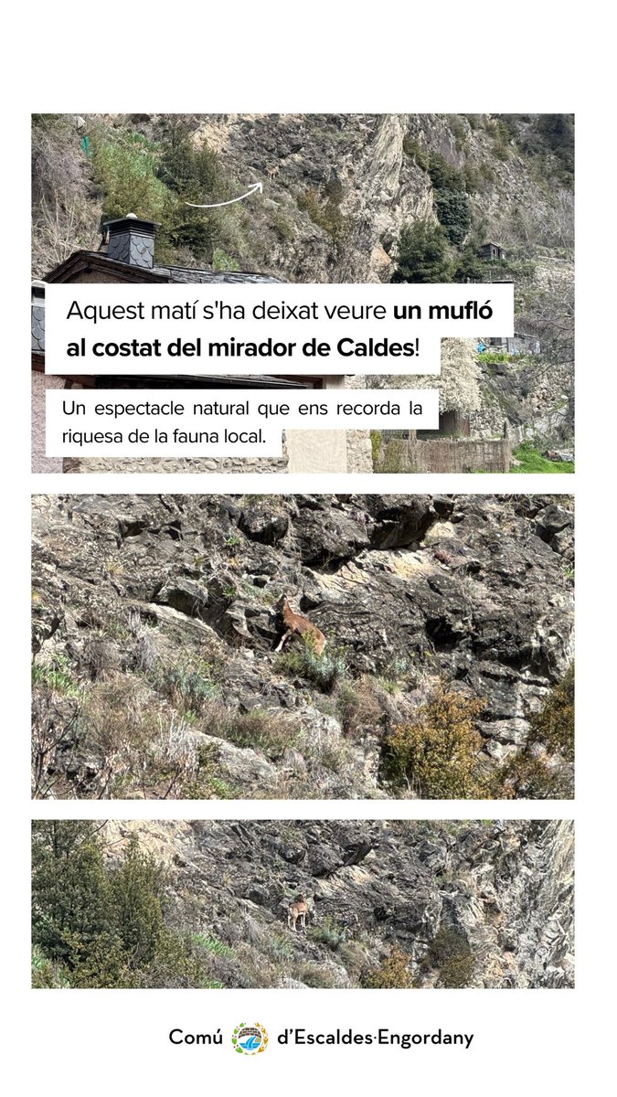 Escaldes-Engordany tweet media