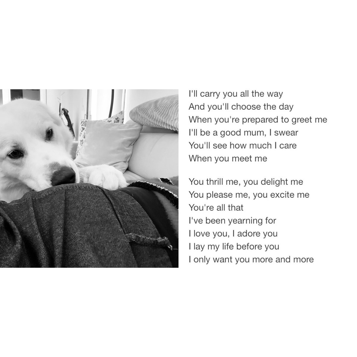 Elizabethsparta's tweet photo. ❤️ https://t.co/a7Ly3lyUpM