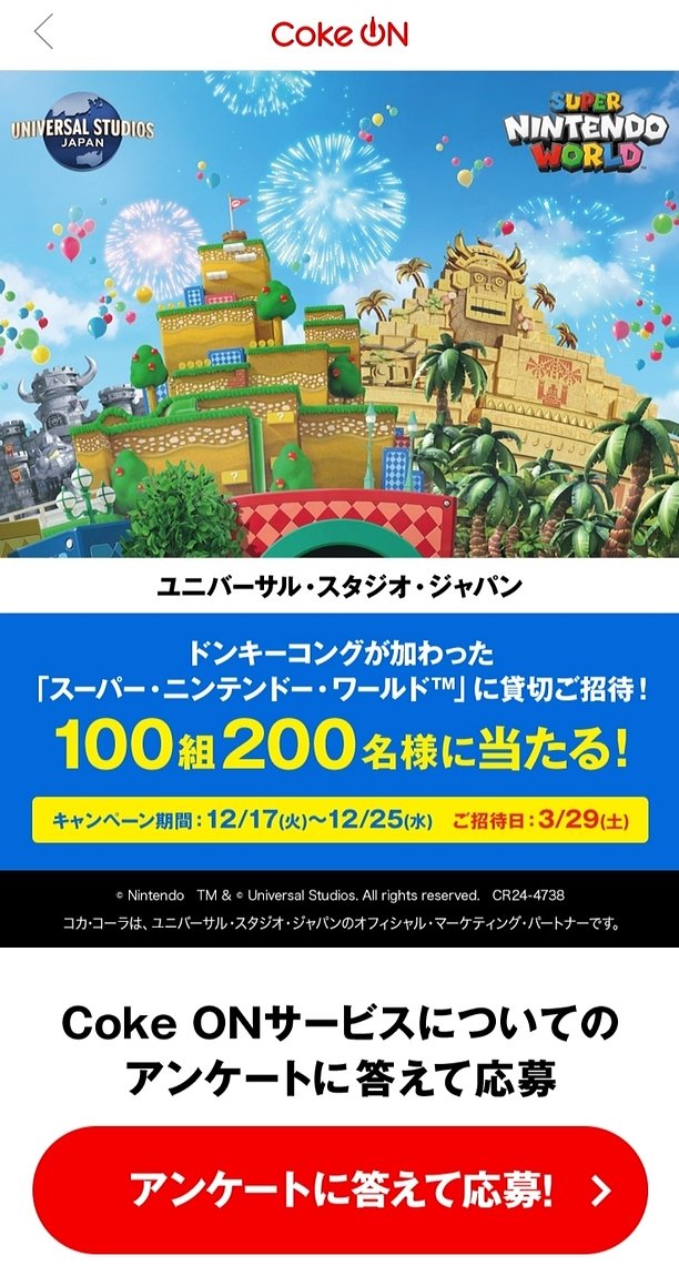 スーパーニンテンドーワールド貸切パス　2025.4.26 USJ スーパーニンテンドーワールド貸切パス 2025.4.26 USJ