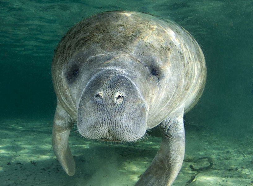 judithe1988's tweet image. 