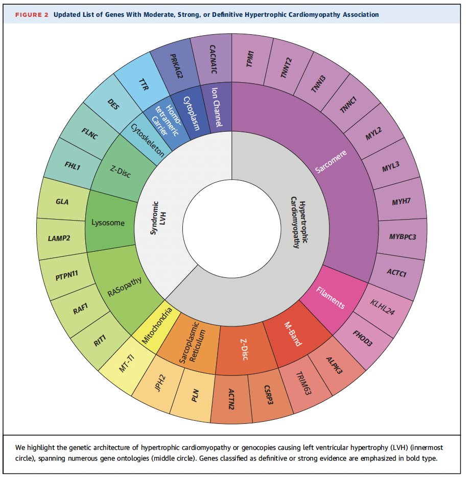 Emanuele Monda (@mondaemanuele) on Twitter photo Genes Associated With Hypertrophic Cardiomyopathy - A Reappraisal by the ClinGen Hereditary Cardiovascular Disease Gene Curation Expert Panel
<a href="/JACCJournals/">JACC Journals</a>
jacc.org/doi/10.1016/j.… Genes Associated With Hypertrophic Cardiomyopathy - A Reappraisal by the ClinGen Hereditary Cardiovascular Disease Gene Curation Expert Panel
<a href="/JACCJournals/">JACC Journals</a>
jacc.org/doi/10.1016/j.…