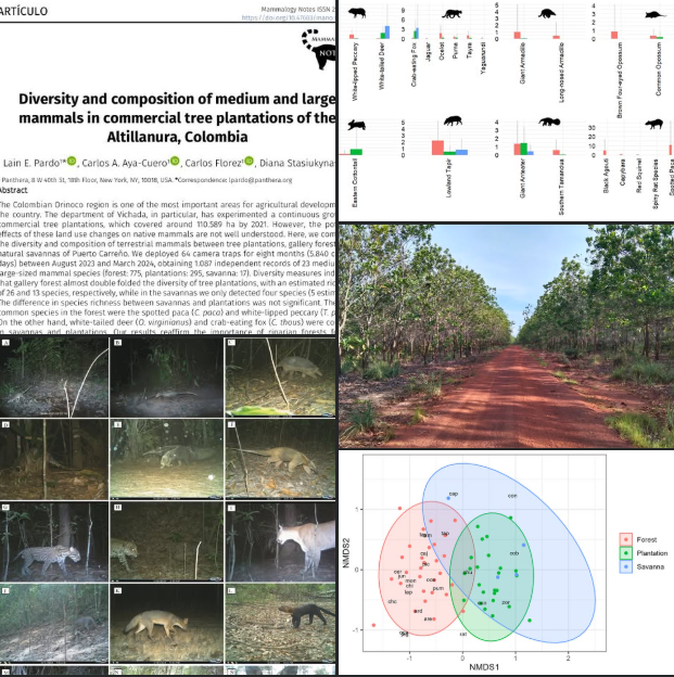 Lain E. Pardo V. tweet media
