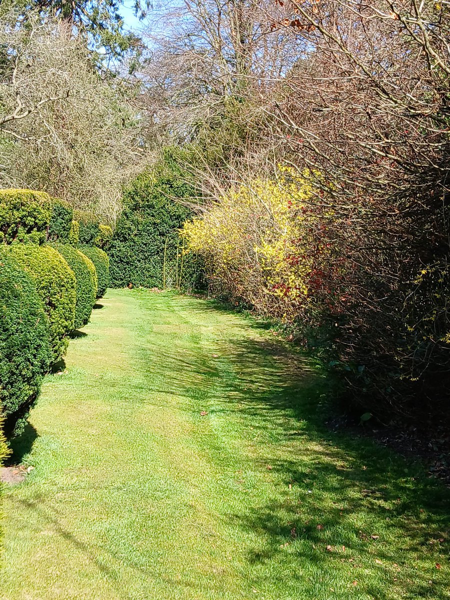 ☀️ Blue skies, freshly cut grass, and the aroma of great coffee... what more could you ask for? ☕🌿
Stop by and enjoy a peaceful stroll around our beautiful grounds, followed by a delicious drink or treat from <a href="/SparrowsTearoom/">Sparrow's Tearoom</a>
#SparrowsTearoom #CoffeeTime #bishtonhallandgardens