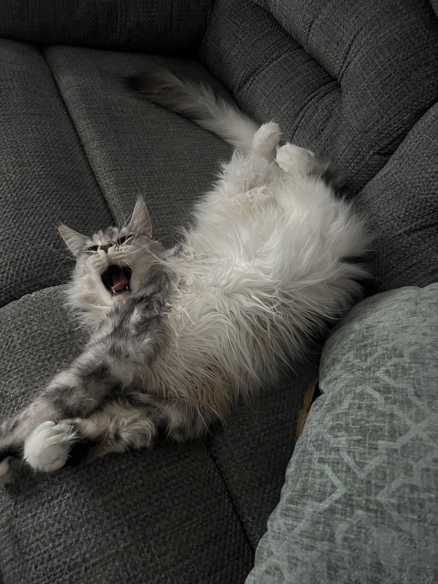 HAPPY BIRTHDAY SALEM