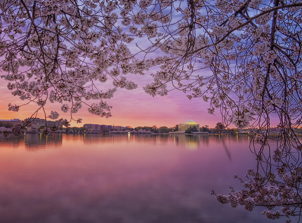 Kevin Ambrose tweet media