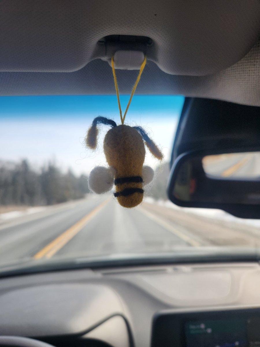 MyWiseEyes1's tweet image. On the move. Doing something out of my comfort zone this weekend.  Capital bound...
#beeyourself