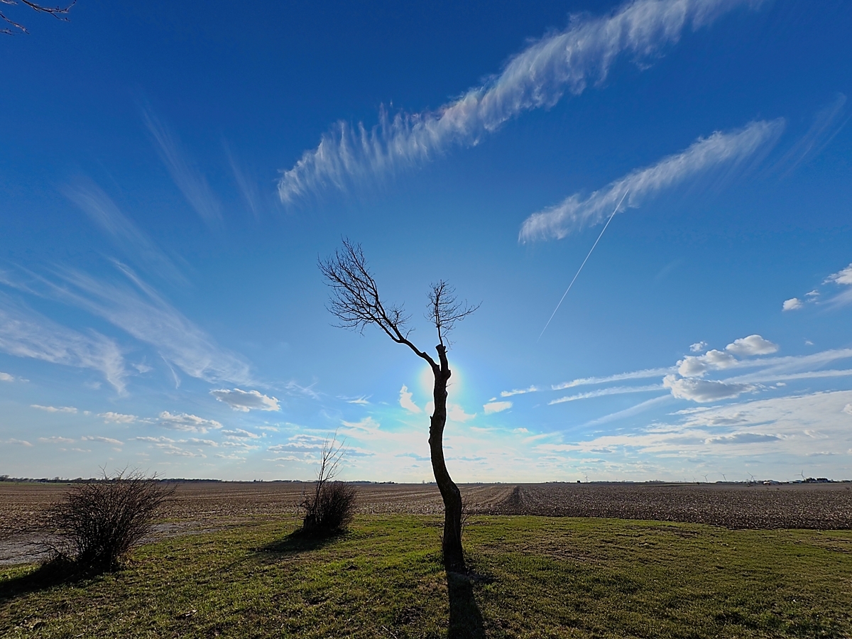 AdpCall's tweet image. Their is beauty in bare fields, trees without leaves and a sunny sky...all waiting for the spring blossoms.
.
.
.
.
#raw_snap_favlandscape #podium #vero #pictas #raw #pixeo #raw_depthoffield #raw_country #Naturegang #Landscape #roads #highway #lonely #field #serenity_nature #tr…