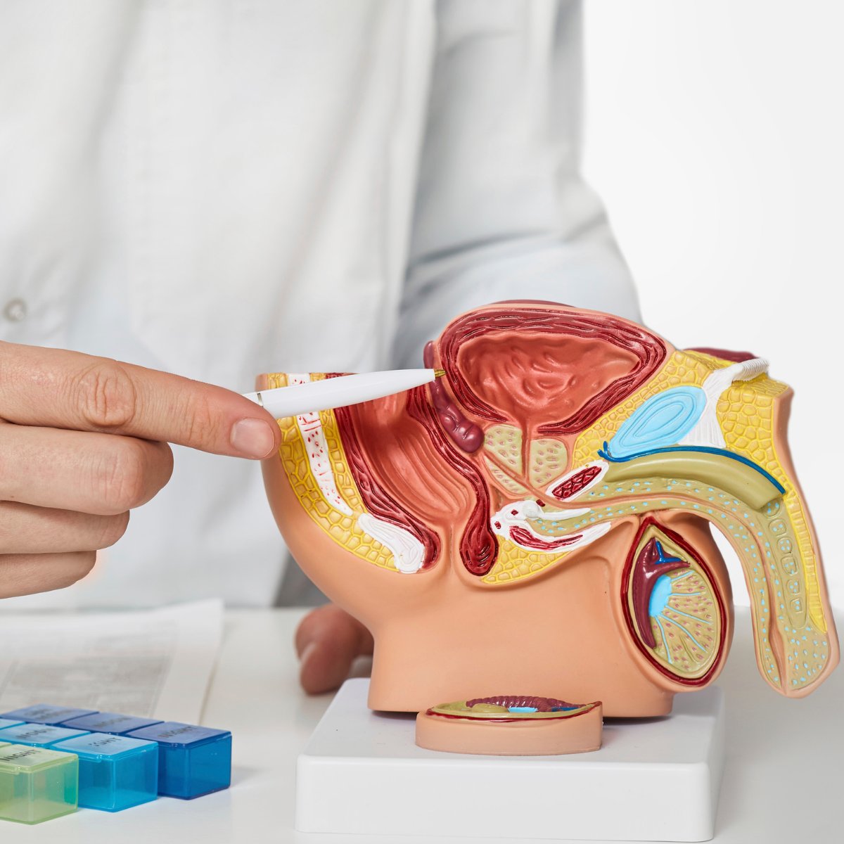 MicrobotMedical's tweet image. An estimated 50% of men have histologic evidence of #BPH by age 50 years and 75% by age 80 years. In 40-50% of these patients, BPH becomes clinically significant. Our team is striving to facilitate minimally invasive #robotictech solutions to address this. medicalxpress.com/conditions/ben…