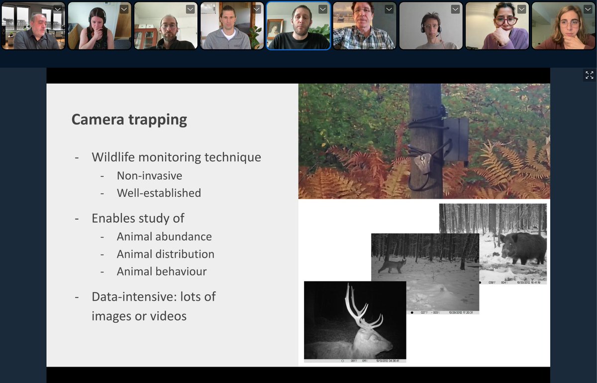Open Knowledge Foundation (@okfn@fosstodon.org) (@okfn) on Twitter photo 💫 Happening now: <a href="/peterdesmet/">Peter Desmet</a> shows a concrete application of #DataPackage in the Camtrap DP project camtrap-dp.tdwg.org to observe animals in wildlife in a non-intrusive way.
👉🏾 You can still join the #FrictionlessSummit: bbb.okfn.org/rooms/pyp-cpg-…
#TheTechWeWant
#OpenData 💫 Happening now: <a href="/peterdesmet/">Peter Desmet</a> shows a concrete application of #DataPackage in the Camtrap DP project camtrap-dp.tdwg.org to observe animals in wildlife in a non-intrusive way.
👉🏾 You can still join the #FrictionlessSummit: bbb.okfn.org/rooms/pyp-cpg-…
#TheTechWeWant
#OpenData