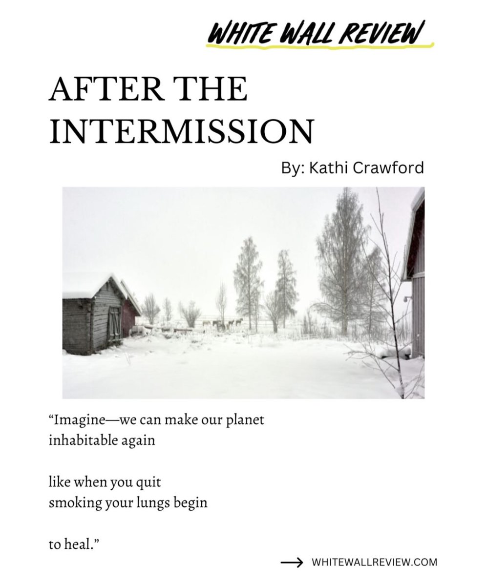 white wall review tweet media