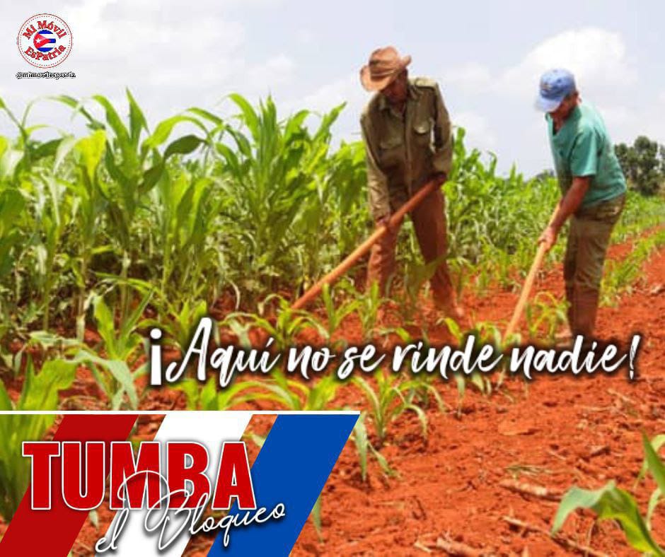 🇨🇺♥️🇨🇺#PoderPopular 
Producir, producir y producir.
#TareaDeGrandes
#PorLasTunasLaVictoria.
<a href="/CSaborit12503/">Roberto C López Saborit</a> <a href="/misleydisgo/">misleydisgo</a> <a href="/JuanaSurez17/">Juana Suárez</a> <a href="/DrRobertoMOjeda/">Dr. Roberto Morales Ojeda</a> .
<a href="/LorenzoOsbel/">Osbel Lorenzo</a> 
<a href="/YelenysLasTunas/">Yelenys Tornet Menéndez</a>