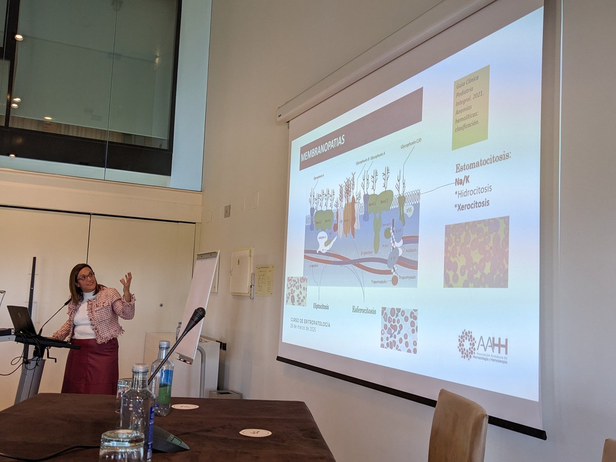 salvadorpayan's tweet image. Los Dres. Gemma Salas y Jorge Palacios, del H. U. Virgen de las Nieves de Granada, nos han hablado del diagnóstico de enzimopatías y membranopatías, con particular goco en las técnicas de secuenciación masiva. #CursoREDSUR2025 #Eritropatología