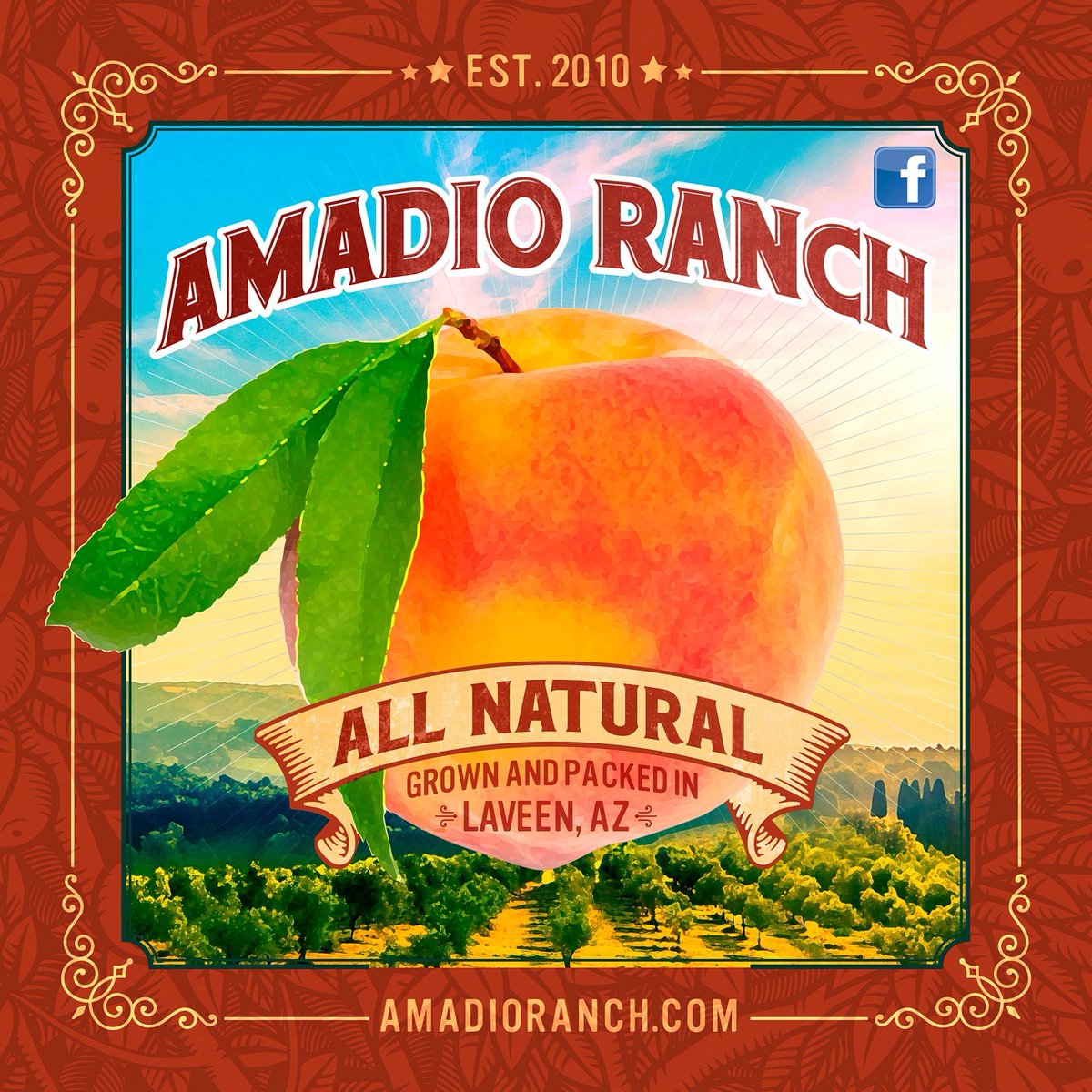 BeefBusOfficial's tweet image. Today, the Beef Bus is grazing new pastures. 
Don’t miss your chance to wrangle some beef (sandwiches) at @AmadioFarm!!

🗓️: 3/28
📍: 4701 W Dobbins Rd, Laveen, AZ 
⏰: 10AM–9PM