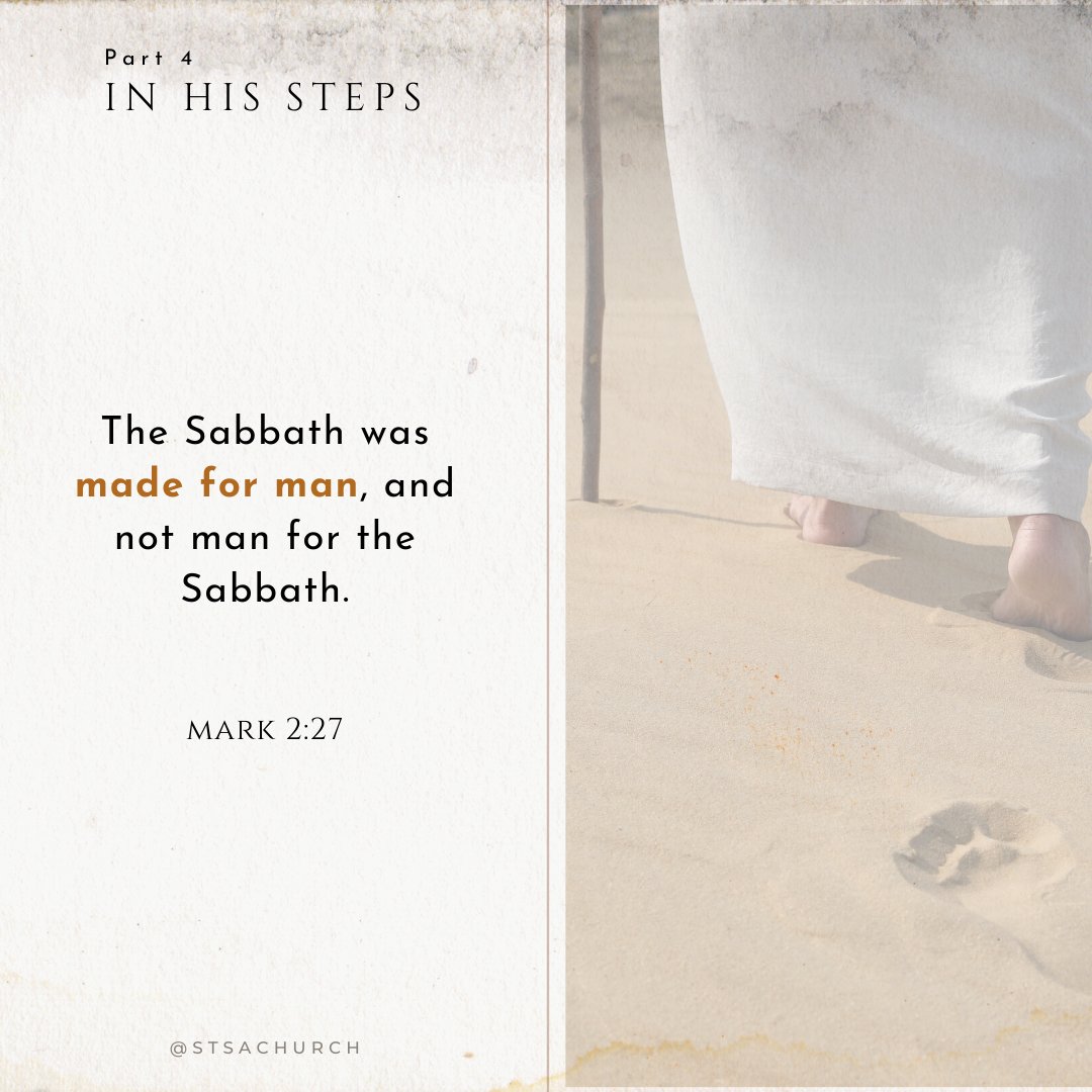 STSA Coptic Orthodox Church tweet media