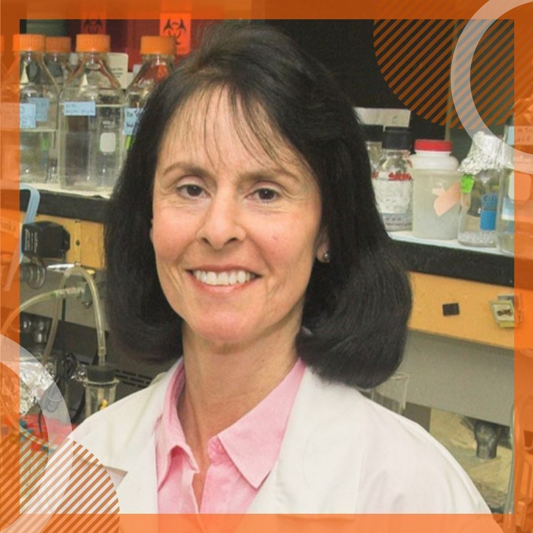 Cancer Center at Illinois (@cancercenteril) on Twitter photo The Breast Cancer Research Foundation recently recognized Cancer Center at Illinois member Benita Katzenellenbogen as one of "18 Trailblazing Women Researchers Who Changed Breast Cancer Forever." <a href="/BCRFcure/">The Breast Cancer Research Foundation</a>
๐ go.illinois.edu/BCRF The Breast Cancer Research Foundation recently recognized Cancer Center at Illinois member Benita Katzenellenbogen as one of "18 Trailblazing Women Researchers Who Changed Breast Cancer Forever." <a href="/BCRFcure/">The Breast Cancer Research Foundation</a>
๐ go.illinois.edu/BCRF