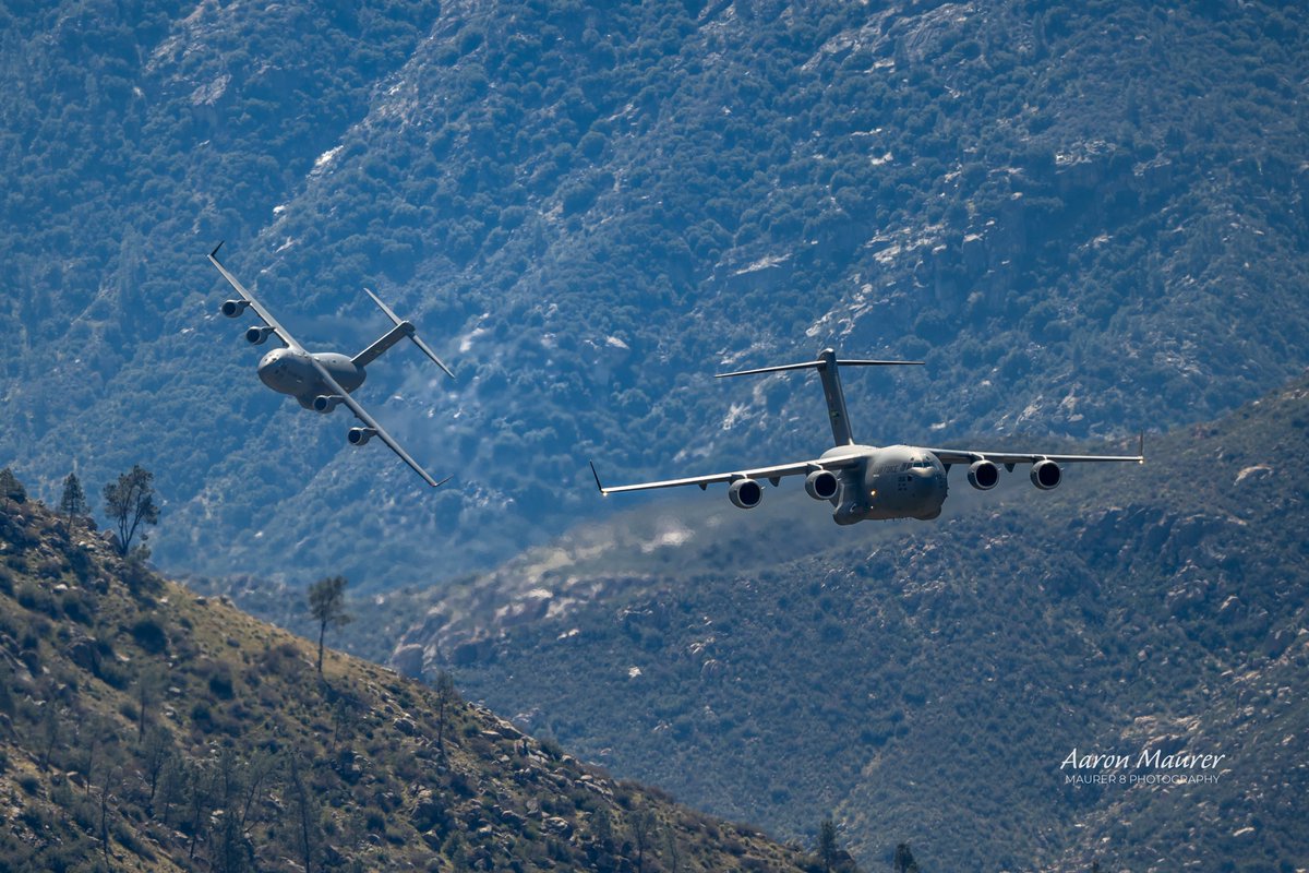 maurer8photo's tweet image. A pair of low level moose

#c17 #jblm #lowlevel