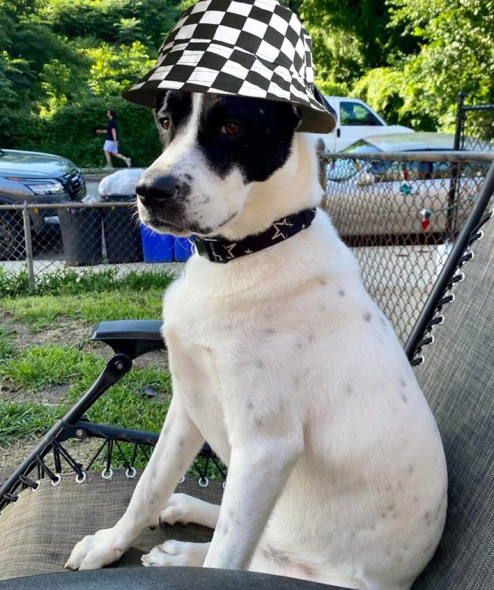 Jeffrey Mitchell tweet media