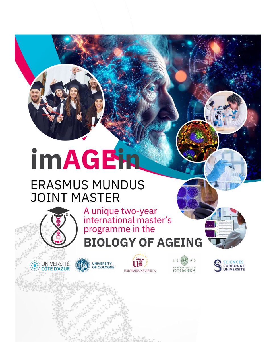 📣🗓️ Postulación Master Erasmus Mundus Joint Master on the Biology of Ageing hasta el 06/04
⭐️Programa de Master de 2 años en inglés conjunto entre universidades de Francia, Alemania, Portugal y España
 💸Se ofrecen 15 becas de 1400€/mes
👉+ info : life.univ-cotedazur.eu/international/…