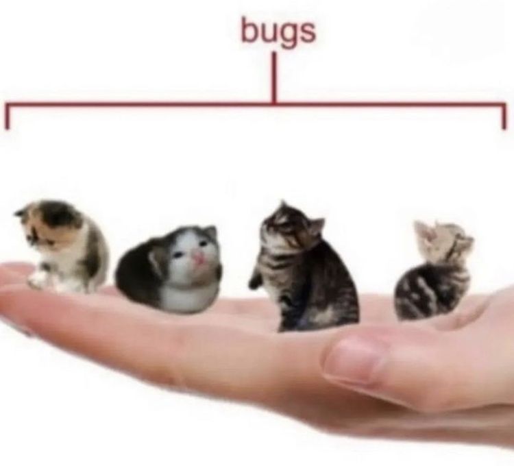 Punch Cat (@punchingcat) on Twitter photo 