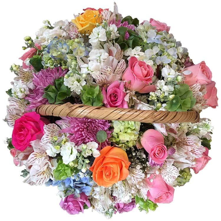 Mix floral presentado en una canasta tradicional de mimbre conformado por rosa hermosa y rosa voodoo, alstroemerias, morelianas y hortensias con nubes y campanas de follaje.
magenta.style/arreglos-flora…