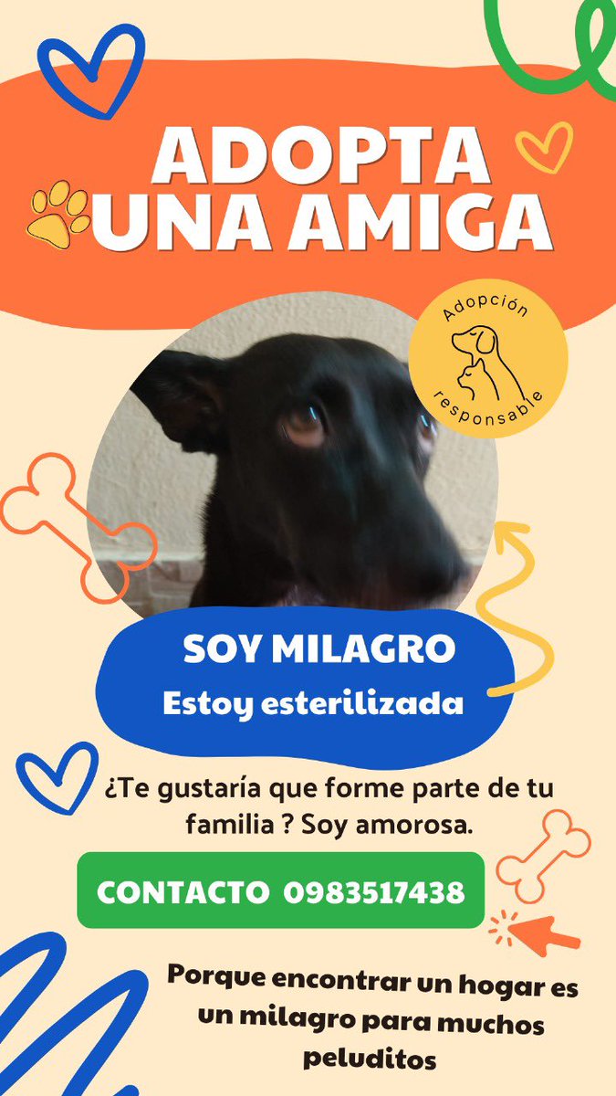 Residente Terranostra HARTA tweet media