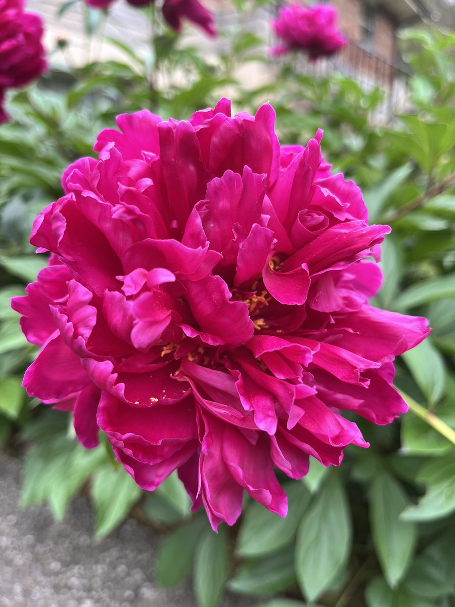 DCSC Inc. (@dcscinc) on Twitter photo 😍A special shout out to our special peeps across the ocean. <a href="/NigelTPacker/">Nigel T Packer - Digital Customer Experience</a> <a href="/burleyfires/">Burley Appliances Ltd</a> <a href="/PigandTed/">Pig & Ted</a> <a href="/DS_Removals/">DS rubbish removals</a> <a href="/office_barista/">Office Barista</a> <a href="/ELFProductivity/">ELF Productivity Ltd</a> <a href="/BathroomMarquee/">The Bathroom Marquee</a> <a href="/TAEVisionCEO/">TAEVision Technology</a> #FF these awesome accounts. 😍A special shout out to our special peeps across the ocean. <a href="/NigelTPacker/">Nigel T Packer - Digital Customer Experience</a> <a href="/burleyfires/">Burley Appliances Ltd</a> <a href="/PigandTed/">Pig & Ted</a> <a href="/DS_Removals/">DS rubbish removals</a> <a href="/office_barista/">Office Barista</a> <a href="/ELFProductivity/">ELF Productivity Ltd</a> <a href="/BathroomMarquee/">The Bathroom Marquee</a> <a href="/TAEVisionCEO/">TAEVision Technology</a> #FF these awesome accounts.