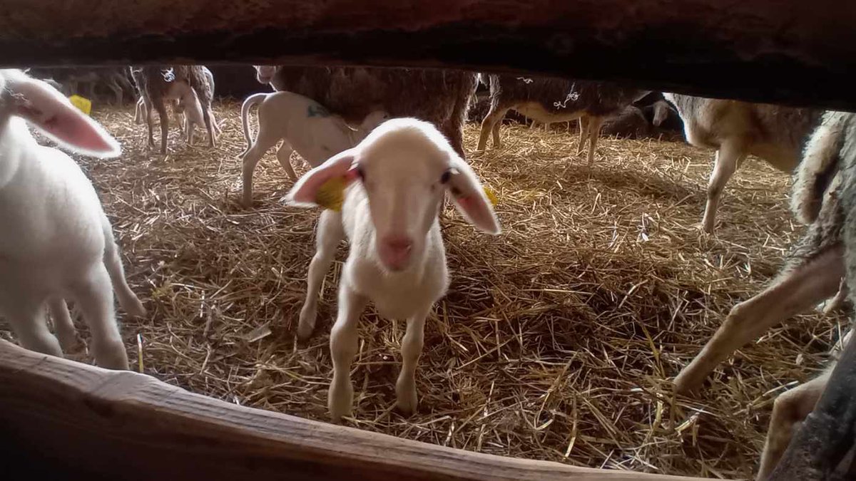 Image de Préfet de la Drôme