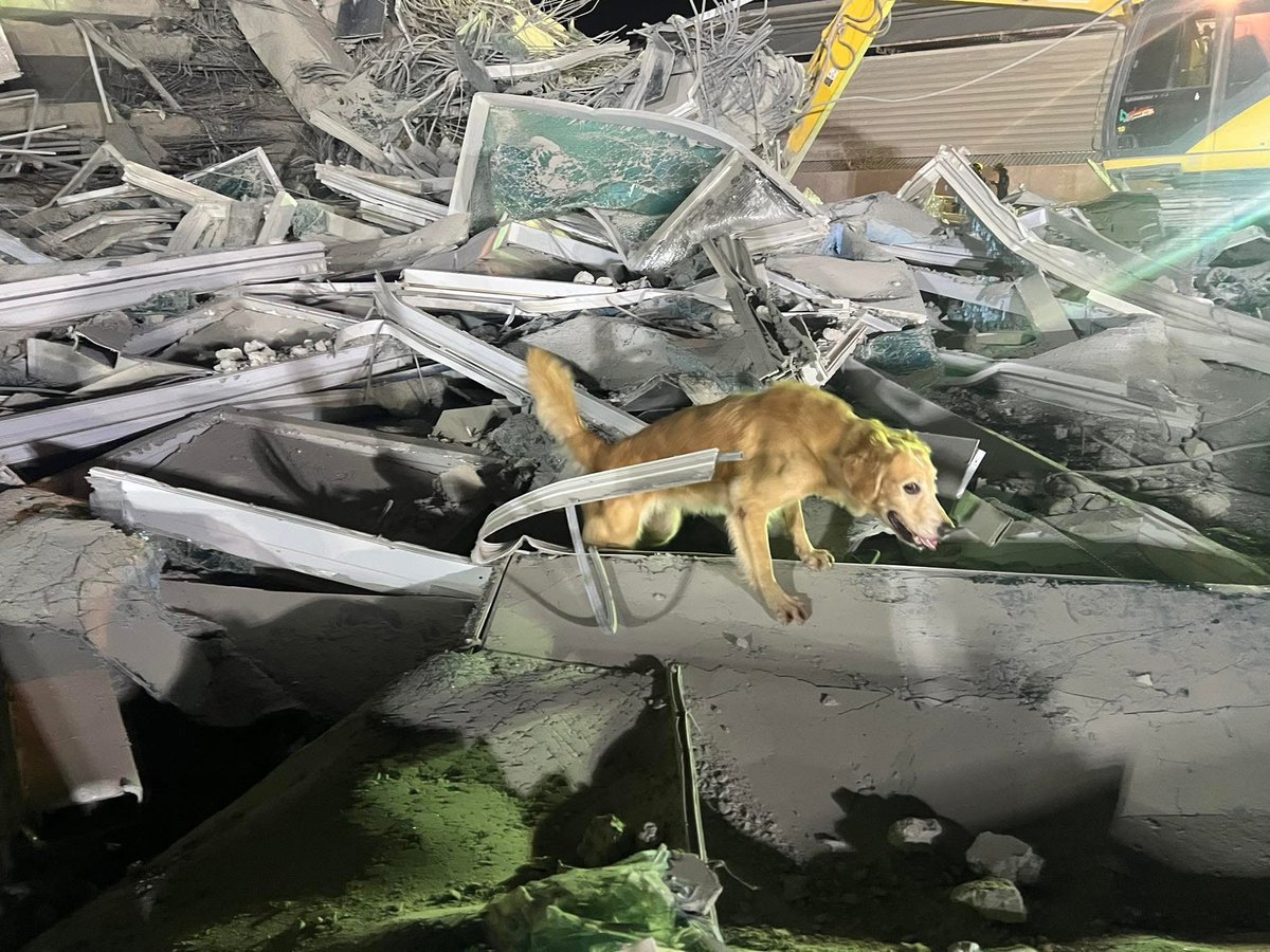 tonnyhahaha's tweet image. เก่งมากจริงๆอยากหอมหัวสักที  😭💗💪🏻