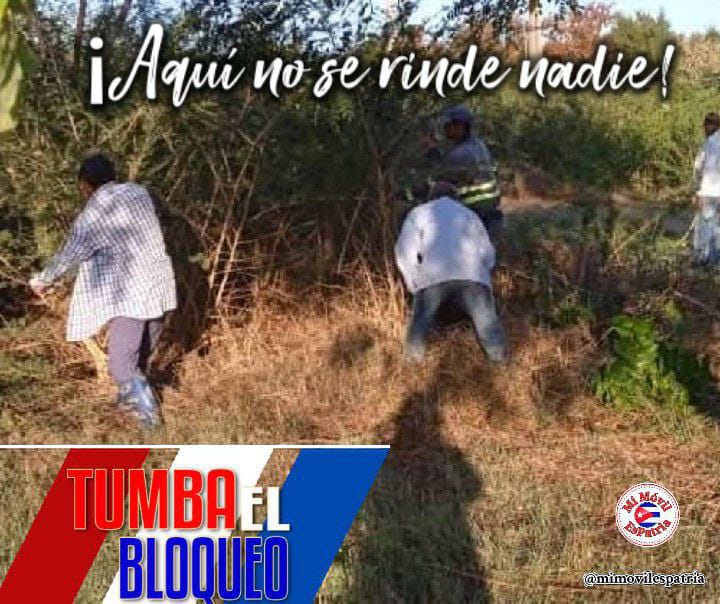 🇨🇺♥️🇨🇺#PoderPopular 
#UnidosXCuba