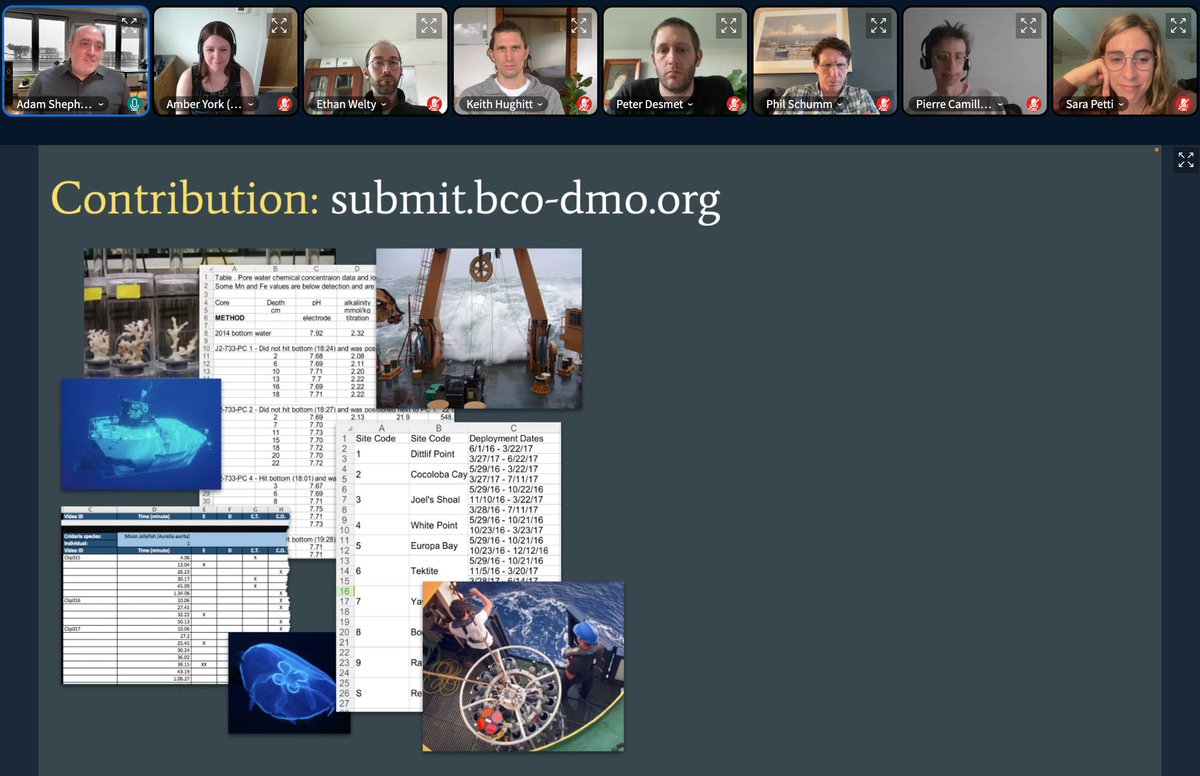 💫 Happening now: Adam Shepherd shows how the submission process works for the oceanography research community around <a href="/BCODMO/">BCO-DMO</a> using #DataPackage.

👉🏾 You can still join the #FrictionlessSummit: bbb.okfn.org/rooms/pyp-cpg-…

#TheTechWeWant
#OpenData