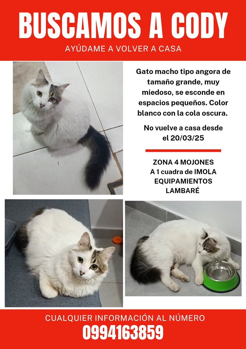 Buscamos a Cody RT 👇🏻