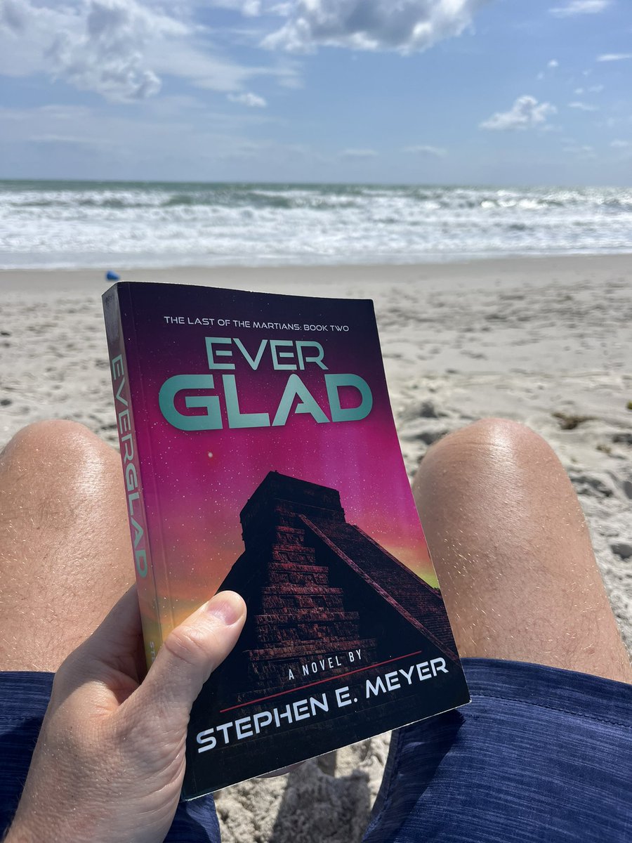 Perfect beach reading! My brother’s latest book!